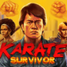Karate Survivor Steam ключ Весь Мир Global RU/CIS РФ Россия key код cтим СНГ Глобал