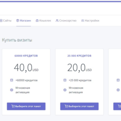 Maxdetrafic.com французкая САР, баланс 5 100 Credits