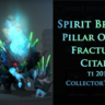 Pillar of the Fractured Citadel Collector&acute;s Cache 2018