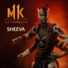 Mortal Kombat 11 Шива XBOX ONE X|S КЛЮЧ