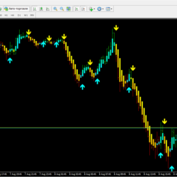 Forex Signal