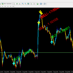 Forex ZUBR