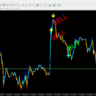 Forex ZUBR Modification