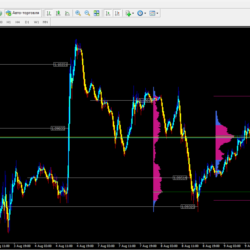 Market Profile Virginp