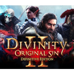 Divinity: Original Sin 2 * STEAM RU   АВТО   0%