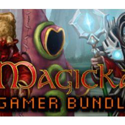 Magicka: Gamer Bundle DLC * STEAM RU ⚡ АВТО 💳0%