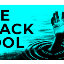 The Black Pool * STEAM RU ⚡ АВТО 💳0%