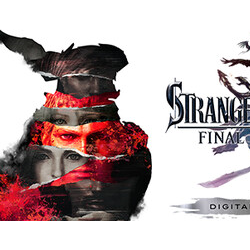 STRANGER OF PARADISE FINAL FANTASY ORIGIN Deluxe STEAM