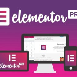 Лицензия Elementor Pro со всеми обновлениями на 1 год