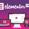Лицензия Elementor Pro со всеми обновлениями на 1 год