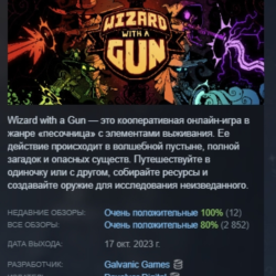 Wizard with a Gun АВТОДОСТАВКА STEAM GLOBAL МГНОВЕННО ЛИЦЕНЗИЯ
