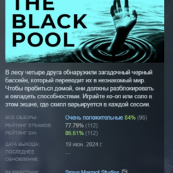 The Black Pool АВТОДОСТАВКА STEAM GLOBAL МГНОВЕННО ЛИЦЕНЗИЯ