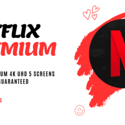 Netflix Premium 4K UHD for 31 дней 5 экранов ПайПал