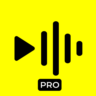 ReelsApp Видео Тренды PRO iPhone ios AppStore iPad
