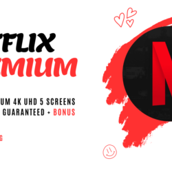 Netflix Премиум 4K 365 дней 5 экранов PayPal   бонус