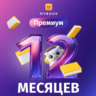 Книги Mybook Премиум   Аудио (КОД) на 12 месяцев