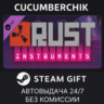 Rust Instrument Pack STEAM GIFT AUTO RU МИР