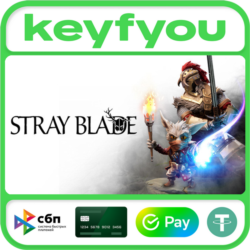 Stray Blade / STEAM КЛЮЧ 🔥