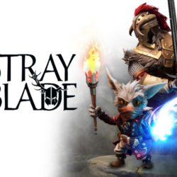 Stray Blade (steam key)