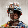 Все регионы   Call of Duty: Black Ops Cold War STEAM