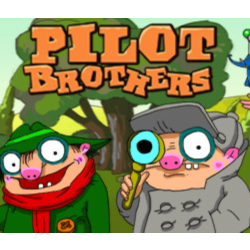 Pilot Brothers * STEAM RU ⚡ АВТО 💳0%