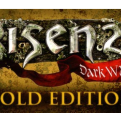 Risen 2: Dark Waters Gold Edition * STEAM RU ⚡