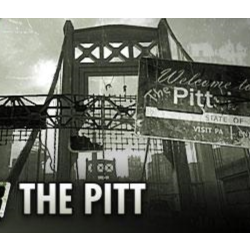 Fallout 3: The Pitt DLC * STEAM RU   АВТО   0%