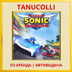 ☀️ Team Sonic Racing (PS/PS4/PS5/RU) Аренда 7 суток