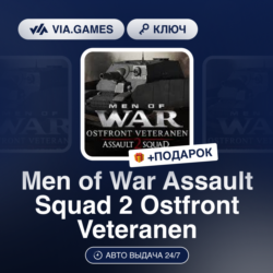 Men of War Assault Squad 2 Ostfront Veteranen DLC (Steam Ключ) РФ-СНГ-МИР   ПОДАРОК