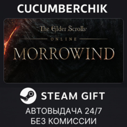 The Elder Scrolls Online: Standard Edition STEAM GIFT AUTO RU МИР