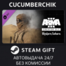 Arma 3 Creator DLC: Western Sahara STEAM GIFT AUTO RU МИР