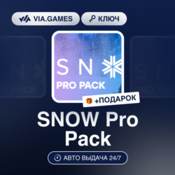 SNOW Pro Pack (Steam Ключ) РФ-СНГ-МИР   ПОДАРОК