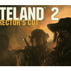 Wasteland 2: Director&acute;s Cut    Смена данных    Онлайн