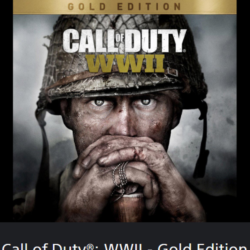 Call of Duty: WWII - Gold Edition   PS4/PS5  ТУРЦИЯ