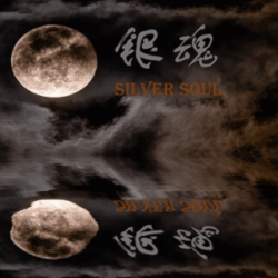 ✅银魂：Silver Soul⚡Steam\РФ Весь Мир\Key⭐
