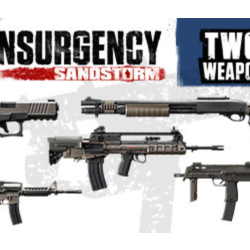 Insurgency: Sandstorm - Two-Tone Weapon Skin Set DLC