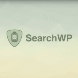 SearchWP [4.3.9] - Русификация плагина