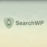 SearchWP [4.3.9] - Русификация плагина
