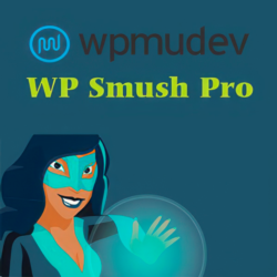 WP Smush Pro [3.15.3] - Русификация плагина
