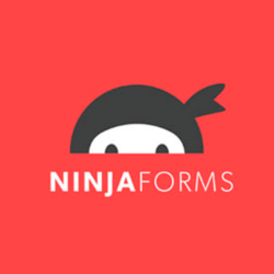 Ninja Forms [3.6.20] - Русификация плагина