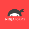 Ninja Forms [3.6.20] - Русификация плагина