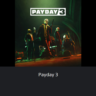 PAYDAY 3    PS5   ТУРЦИЯ