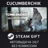 Rise of the Tomb Raider: 20 Year Celebration STEAM GIFT AUTO RU МИР