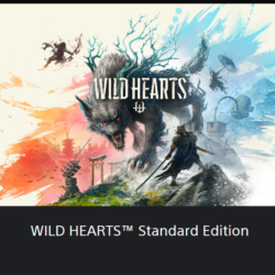 💥WILD HEARTS / ДИКИЕ СЕРДЦА 🔵 PS5 🔴 Турция 🔴