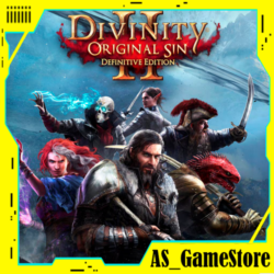 Divinity Original Sin 2 / Дивинити Син | PS Турция Украина