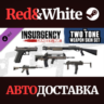 Insurgency: Sandstorm - Two-Tone Weapon Skin Set DLC