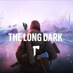 💥The Long Dark 🔵 PS4 / PS5 🔴ТУРЦИЯ🔴