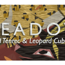 Meadow: Streaked Tenrec and Leopard Cub Skin Pack АВТОДОСТАВКА STEAM GLOBAL МГНОВЕННО