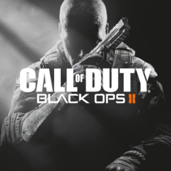 Все регионы   Call of Duty: Black Ops 2 STEAM