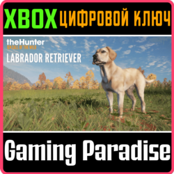 ❗THEHUNTER: CALL OF THE WILD - LABRADOR RETRIEVER🔑XBOX